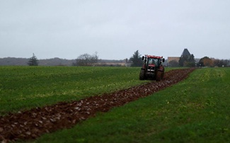 Nông nghiệp Châu Âu được hỗ trợ nhiều nhờ các biện pháp cải cách