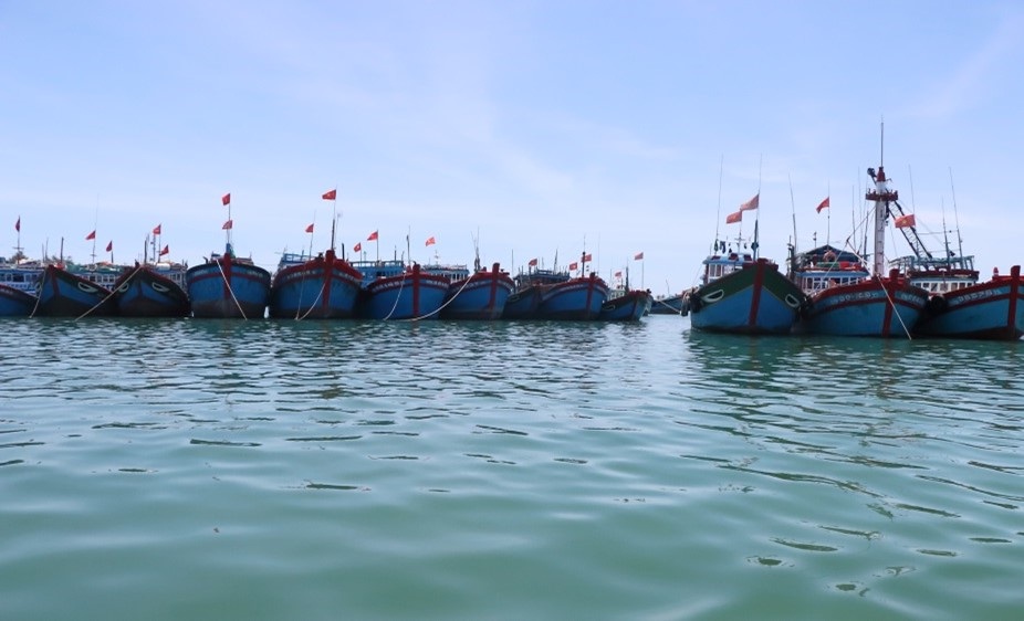 Quảng Ngãi phấn đấu hoàn thành mục tiêu chấm dứt tình trạng tàu cá, ngư dân địa phương vi phạm khai thác hải sản ở vùng biển nước ngoài sớm gỡ “Thẻ vàng” của EC