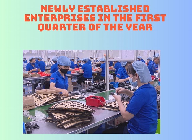 Newly established enterprises in the first quarter of the year