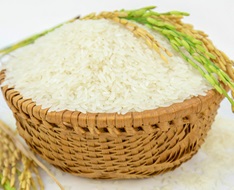 Quy định về chứng nhận chủng loại gạo thơm xuất khẩu sang Liên minh châu Âu